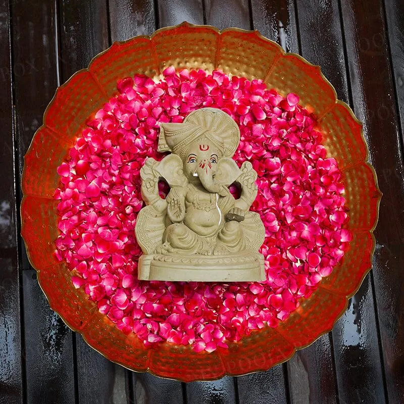 1FEET Muktidaya Eco-Friendly Ganpati | Plant-A-Ganesha