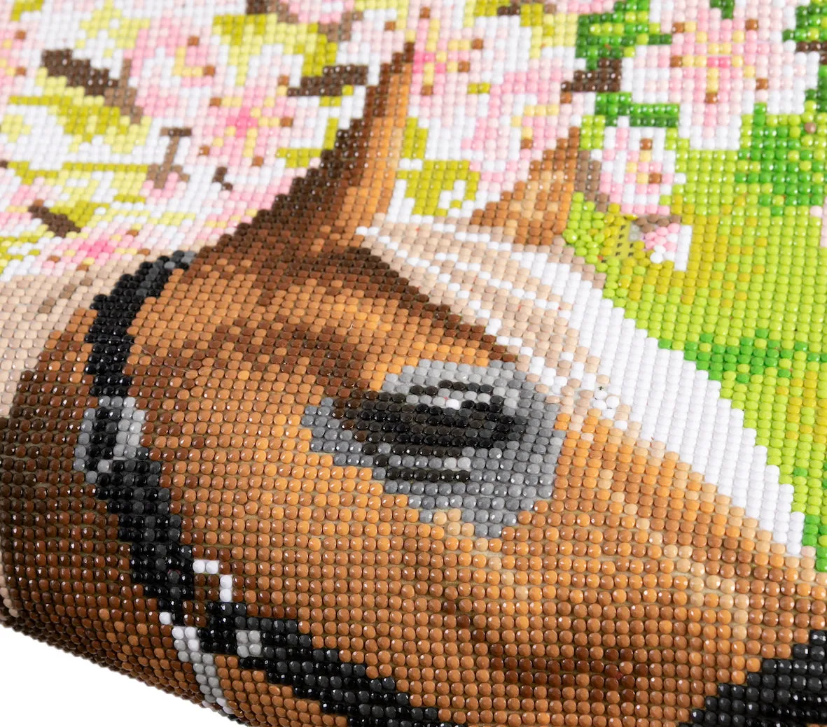 CAS-10L: Crystal Art 40*50cm Scroll Kit - HORSE