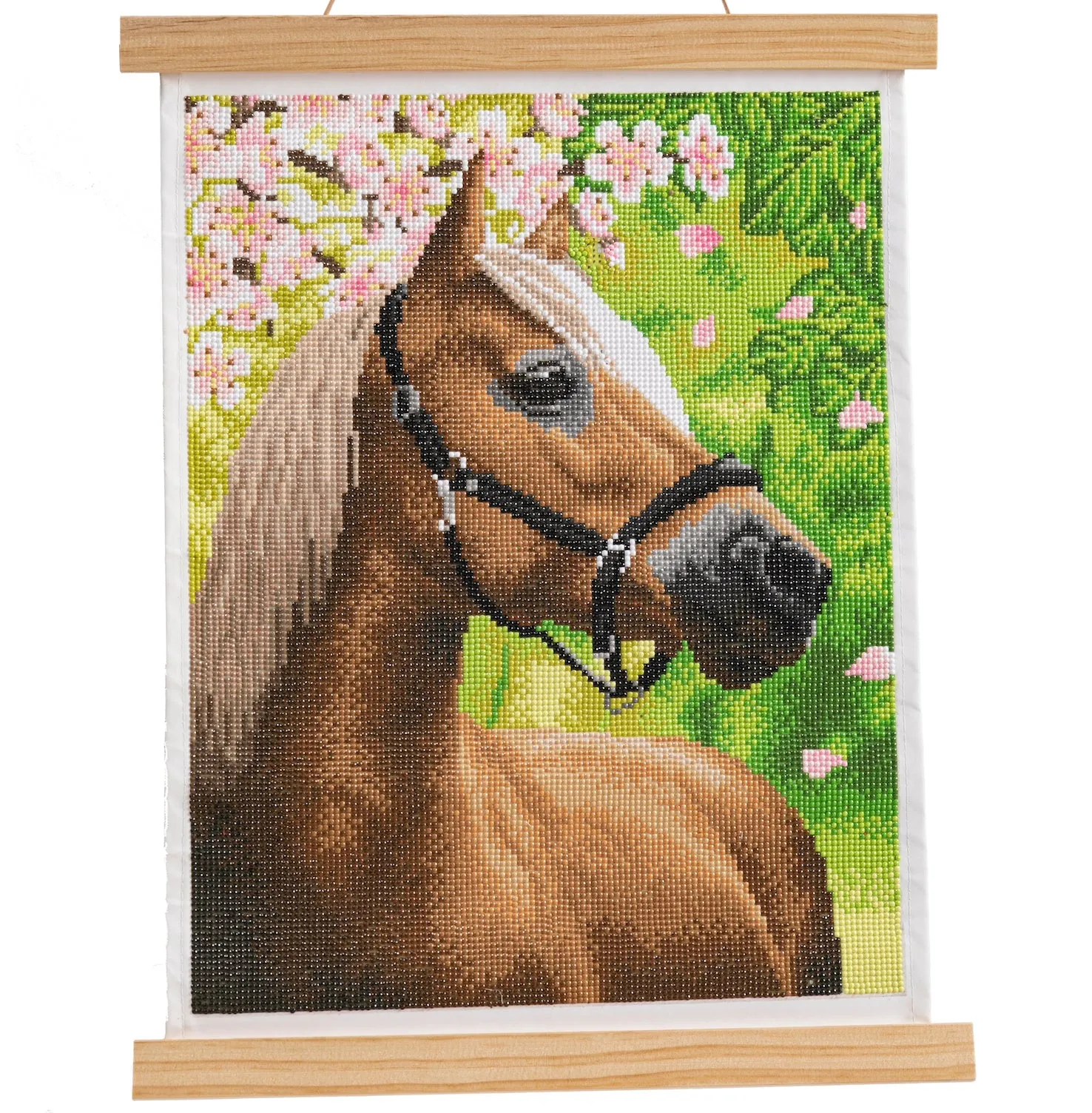 CAS-10L: Crystal Art 40*50cm Scroll Kit - HORSE