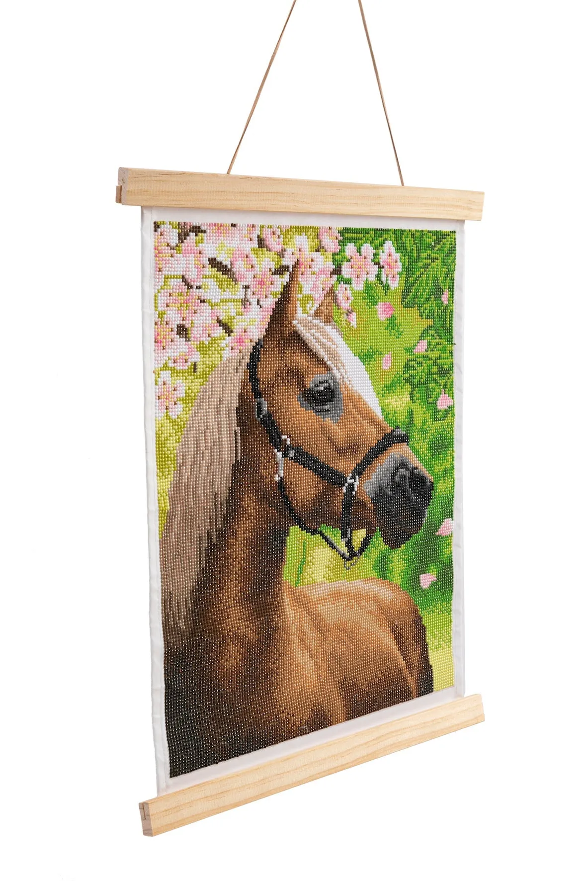 CAS-10L: Crystal Art 40*50cm Scroll Kit - HORSE