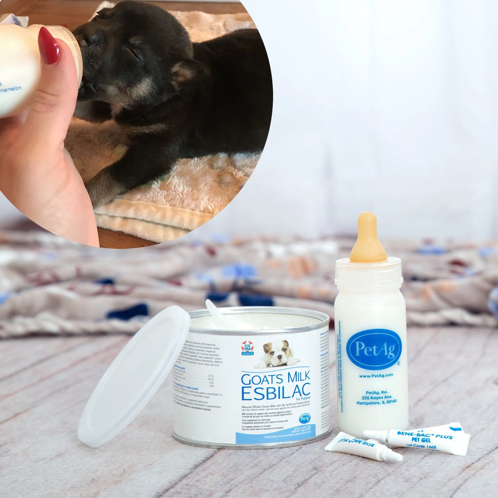 Emergency Care: Life-Saving Formula Kits For Fur Babies