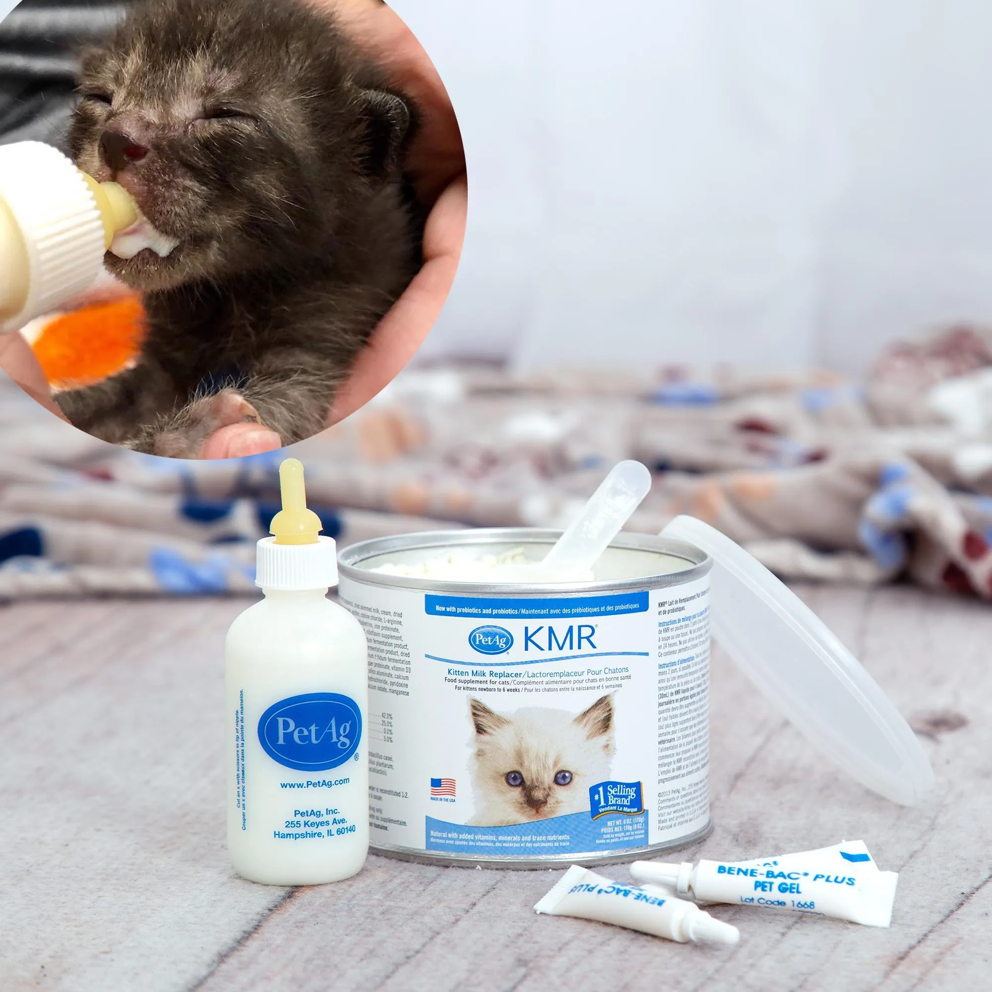 Emergency Care: Life-Saving Formula Kits For Fur Babies