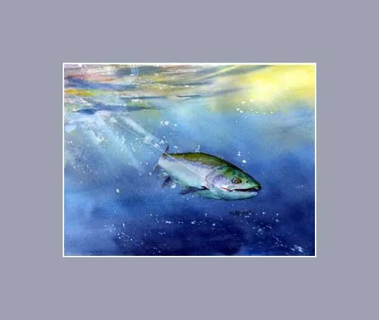 Fighting Coho Print