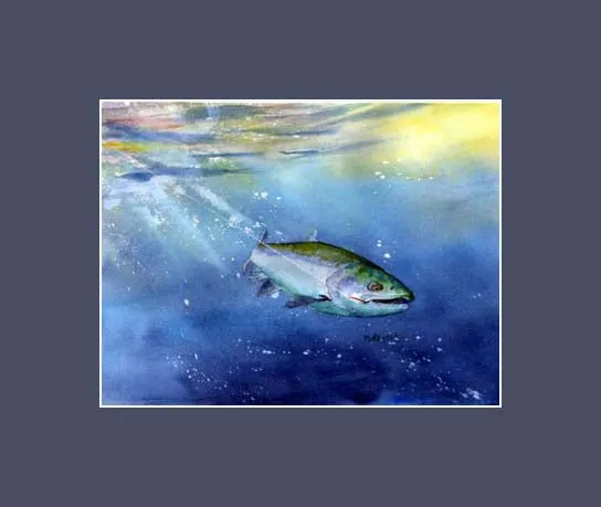 Fighting Coho Print