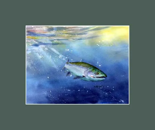 Fighting Coho Print