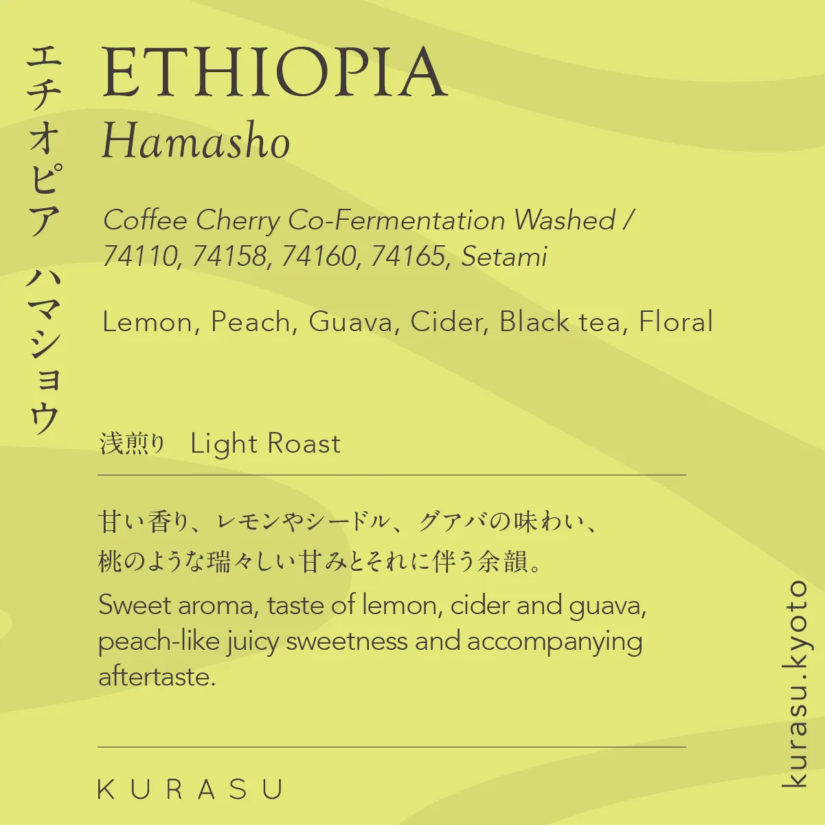 Kurasu Drip Coffee Bag premium - Ethiopia Hamasho