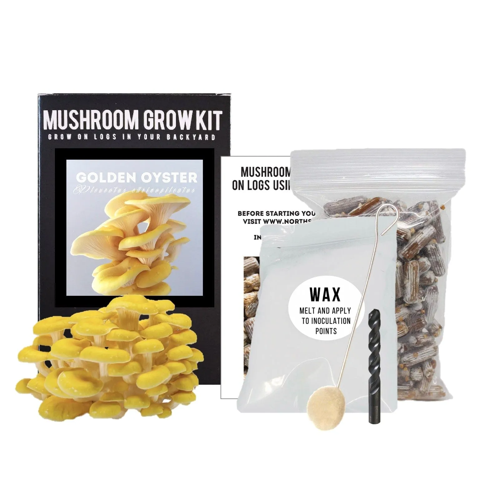 Organic Golden Oyster Mushroom Outdoor Log Growing Kit