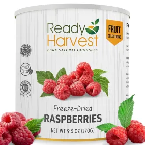 Raspberries Freeze Dried