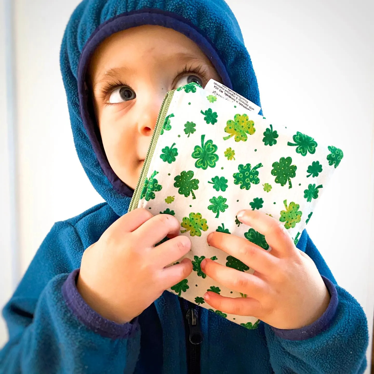 Toddler Sized Reusable Zippered Bag Fairy Tales